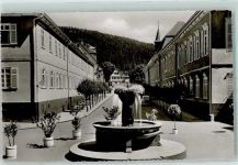 75385 W7264 Bad Teinach - Springbrunnen