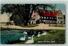 10115 W1000 Tegel 1918 - Kaiser - Pavillion Schwäne