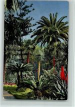 San Remo Serie 138 Nr. 2636 - Riviera di Ponente , gute Erhaltung AK Nenke & Ostermaier