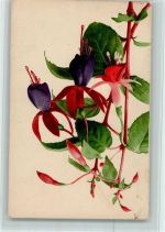 Farbenlichtdruck Nr. 548 - Blume AK Rommel
