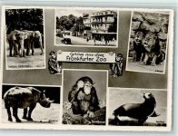 Gesellschaftshaus, Nashorn, Affe - gute Erhaltung Zoo