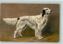 Nr. 94 Cocker Spaniel - Epagneu , Edition Stehli Spaniel Künstlerkarte