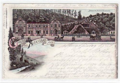 Alexisbad Alexisbad mit Haase´s Hotel Elysium und Waldpartie gelaufen von 1897. Oxydationsspuren rechter Rand, kleiner Knick unten links, sonst gut erhalten.