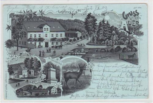 Moritzburg Mondscheinlithographie Moritzburg. Gruss vom Auer. Gasthaus Auer, Forsthaus Kreiern Wolf Denkmal gelaufen am 2.9.1903. Ecke n sind etwas abgeschürft, sonst gut erhalten.