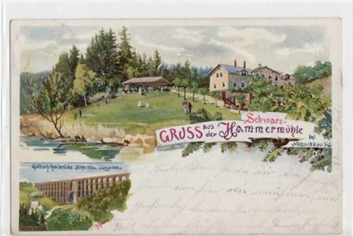 Netzschkau, Lithographie mit Schwarz-Hammermühle gelaufen von 1900. Leichter Stempeldurchdruck, sonst gut erhalten