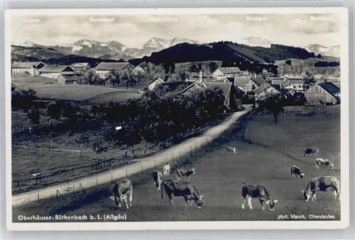 88167 W8999 Röthenbach (Allgäu) - Oberhäuser, Kuh