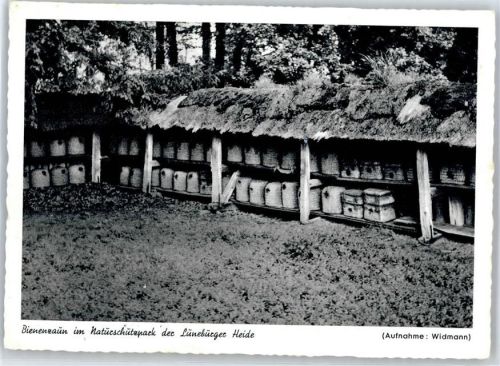 21271 W2116 Hanstedt , Nordheide - Bienenzaun im Naturschutzpark der Lüneburger Heide
