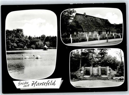 21698 W2165 Harsefeld - Seepartie, Schwäne, Denkmal