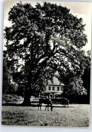 Hartenholm Waldgut