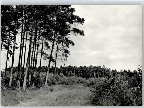 Blender Landschaft