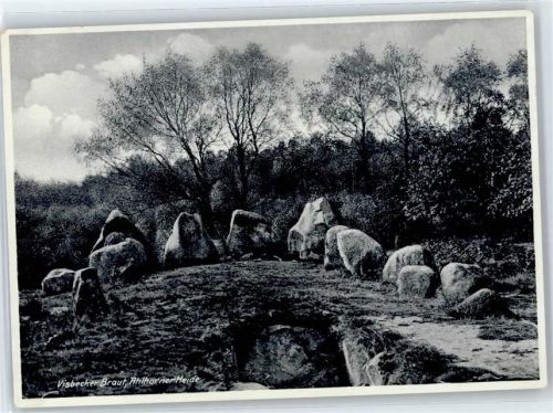 49429 W2849 Visbek , Kr Vechta - Visbecker Braut, Ahlhorner Heide