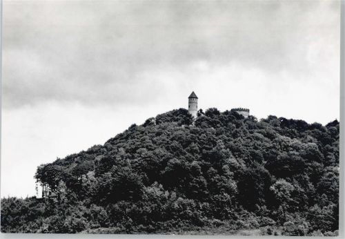 37120 W3406 Bovenden - Burg Plesse