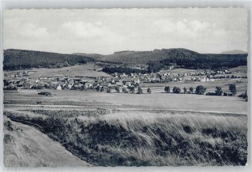 38685 W3394 Wolfshagen im Harz - Gesamtansicht