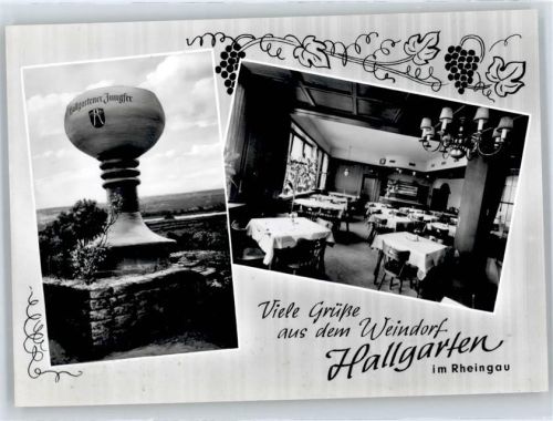 65375 W6227 Hallgarten , Rheingau - Restaurant Winzerhalle , WEin
