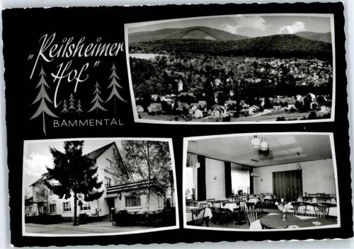 69245 W6919 Bammental - Reilsheimer Hof