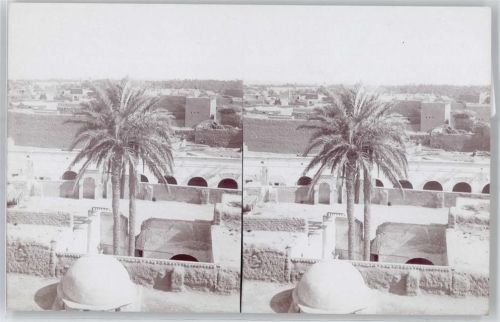 Biskra Stereofoto, Oase Sidi Uqba