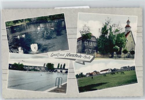 Haßloch Schwanensee, Ortspartie, Pferdewiese, Schwimmbad