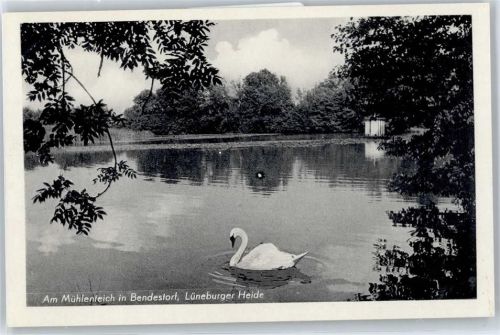 Bendestorf Am Mühlenteich, Schwan
