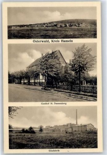 31020 W3216 Osterwald b Elze, Leine - Gasthof H. Dannenberg, Glasfabrik