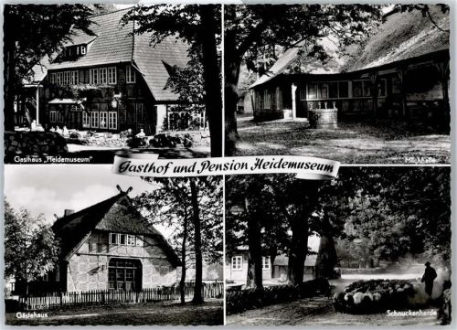 29646 W3045 Wilsede , Kr Soltau - Gasthof Heidemuseum, Schnuckenherde