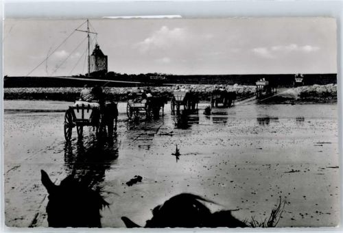 Sahlenburg Wattwagen