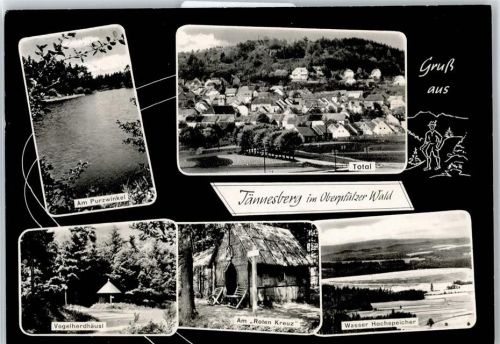 Tännesberg Am Purzwinkel, Vogelherdhäusl, am Roten Kreuz, Wasser Hochspeicher, Gesamtansicht