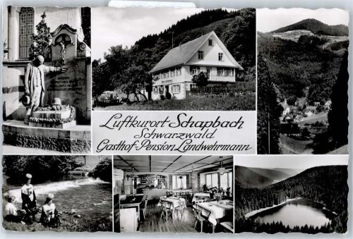 77776 W7624 Schapbach - Gasthof Landwehrmann, Teilansicht