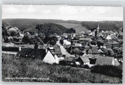 53947 W5376 Nettersheim