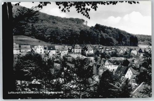 Steinbergen