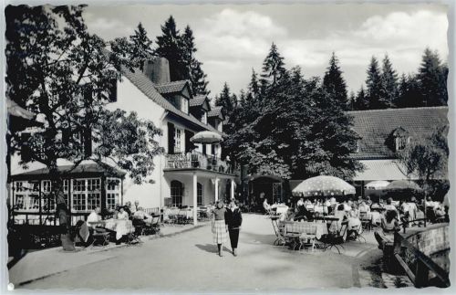 Leopoldstal Waldhotel, Pension Silbermühle