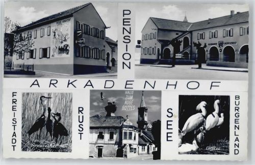 Rust Pension Arkadenhof, Graureiher, Haus zum Auge Gottes, Löffler