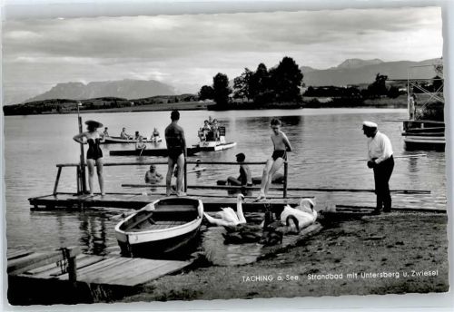Taching Strandbad, Untersberg, Zwiesel, Schwan