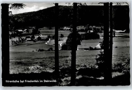 95688 W8591 Friedenfels - Bärenhöhe im Steinwald
