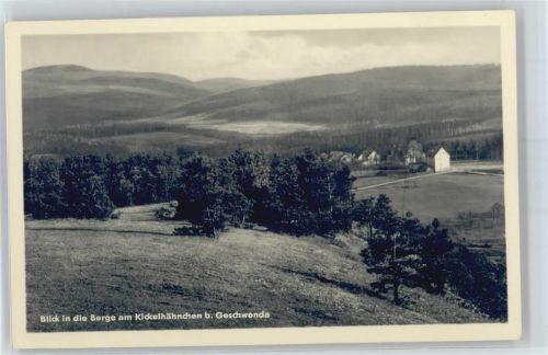 Geschwenda Gasthaus zum Kickelhähnchen