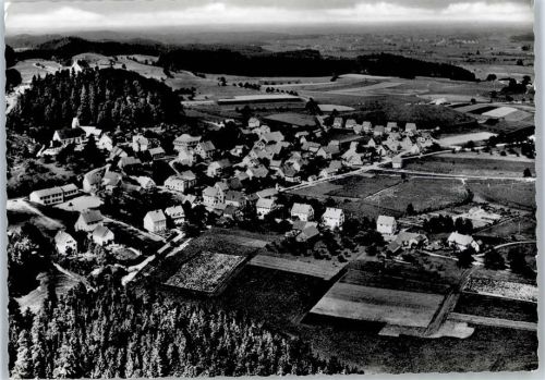 Waldburg Fliegeraufnahme