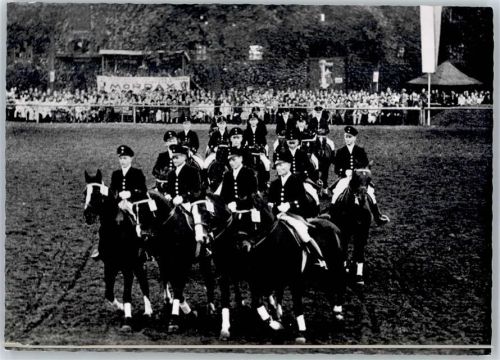 Warendorf Hengstparade Landgestüt, Pferd