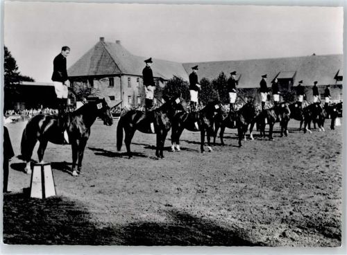 Warendorf Hengstparade Landgestüt, Pferd