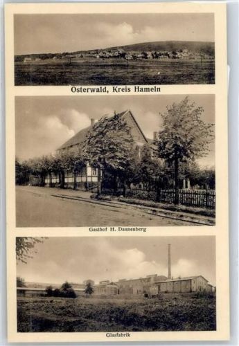31020 W3216 Osterwald b Elze, Leine - Gasthof Dannenberg, Glasfabrik, Ortsansicht