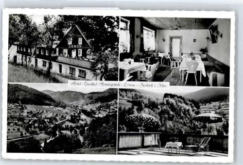 Seebach Hotel Restaurant Löwen