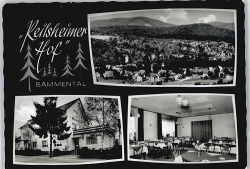 69245 W6919 Bammental - Pension Reilsheimer Hof