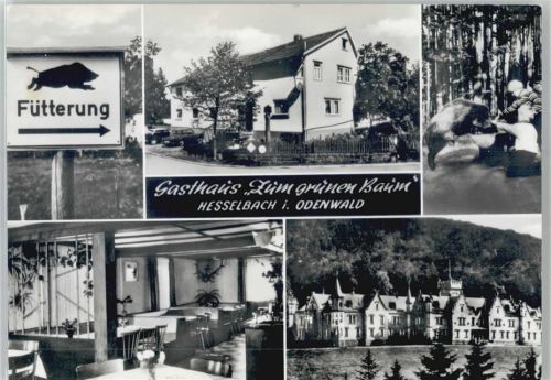 64754 W6121 Hesselbach , Odenw - Gasthaus Zum grünen Baum