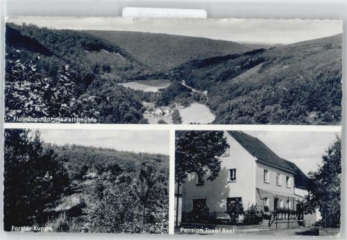 Mörsdorf Forster Kuppe, Pension Josef Best, Flaumbachtal mit Fettsmühle