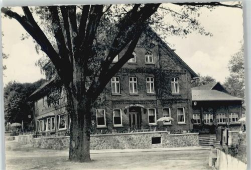 21274 W2111 Undeloh - Witte´s Gasthaus, Pension