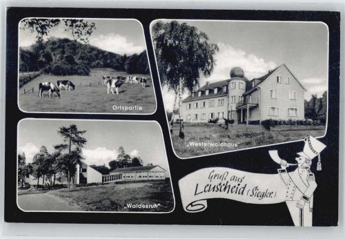 51570 W5227 Leuscheid - Kuhweide, Haus Waldesruh, Westerwaldhaus