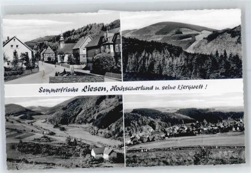 59969 W5789 Liesen