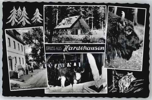 Hardehausen Staatliches Forstamt,Wisenfutterhaus