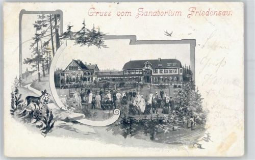 39291 O3272 Friedensau Künstlerkarte Sanatorium verziert