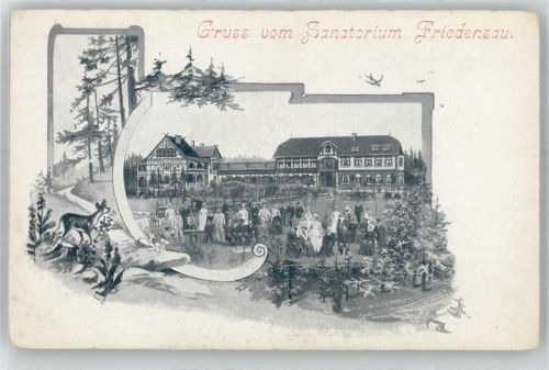 39291 O3272 Friedensau - Sanatorium