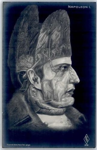 Napoleon Metamorphose