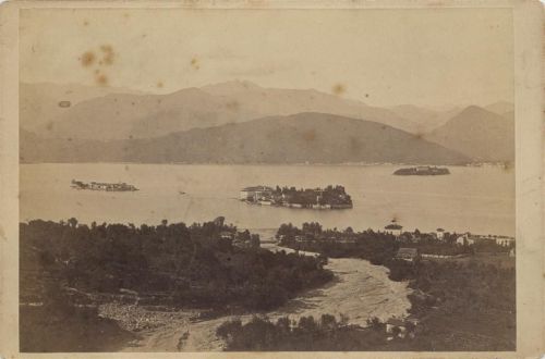 Pino Lago Maggiore